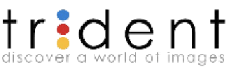https://www.trident-dental.com/en/